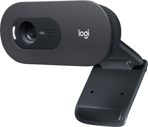 Изображение Камера Web Logitech C505 черный 1.2Mpix (1280x720) USB2.0 с микрофоном для ноутбука (960-001364)